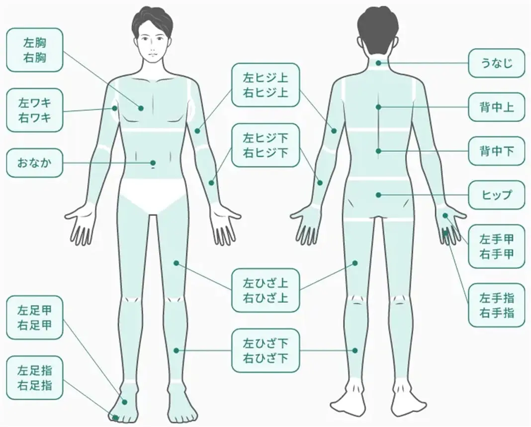 左胸、右胸、左ワキ、右ワキ、左ヒジ上、右ひじ上、左ヒジ下、右ひじ下、おなか、左ひざ上、右ひざ上、左ひざ下、右ひざ下、左足甲、右足甲、左足指、右足指、うなじ、背中上。背中下、ヒップ、左手甲、右手甲、左手指、右手指