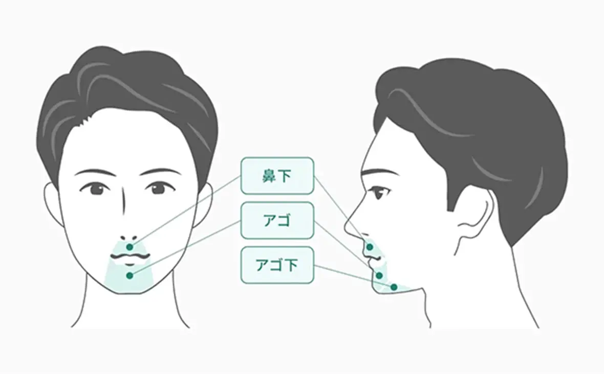 左ほほ、右ほほ、鼻下、アゴ、アゴ下、首
