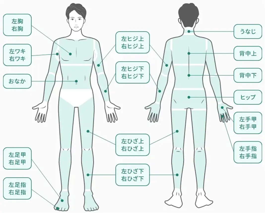 左胸、右胸、左ワキ、右ワキ、左ヒジ上、右ひじ上、左ヒジ下、右ひじ下、おなか、左ひざ上、右ひざ上、左ひざ下、右ひざ下、左足甲、右足甲、左足指、右足指、うなじ、背中上。背中下、ヒップ、左手甲、右手甲、左手指、右手指
