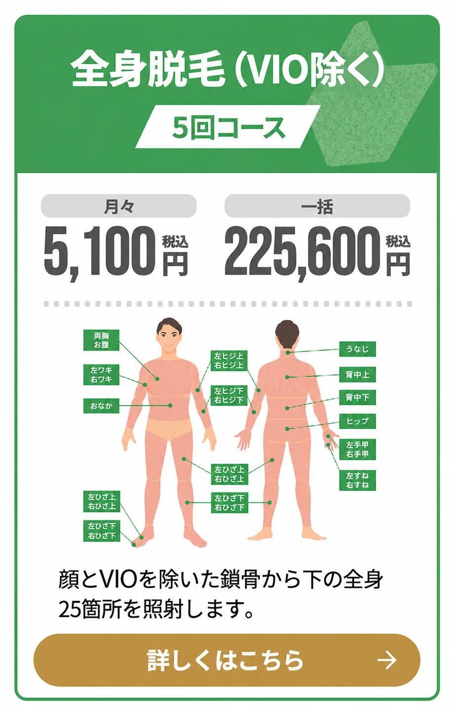 全身脱毛(VIO除く)5回コース 月々5,100円(税込)/一括225,600円(税込)